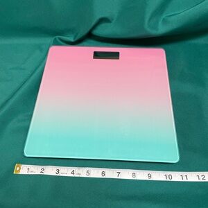 Electronic Personnel Scale